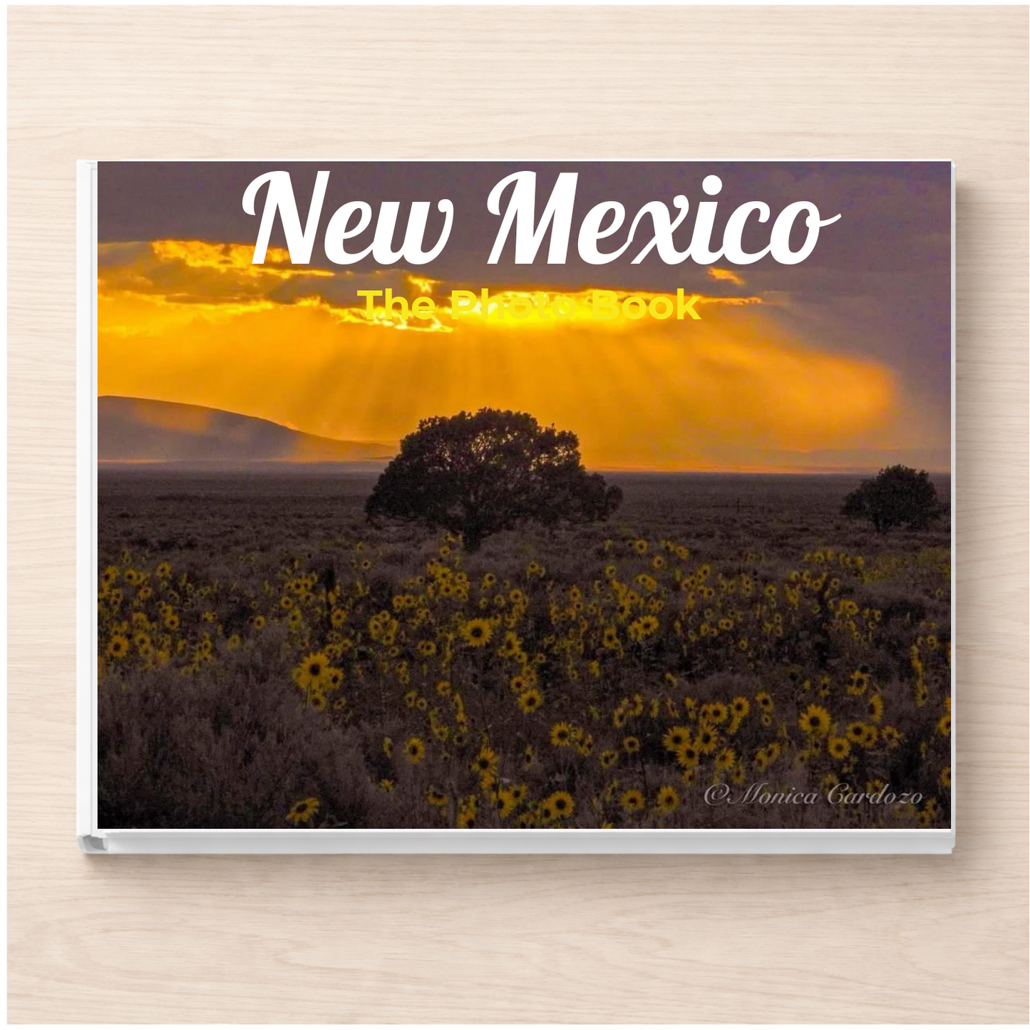 New Mexico: The Photo Book