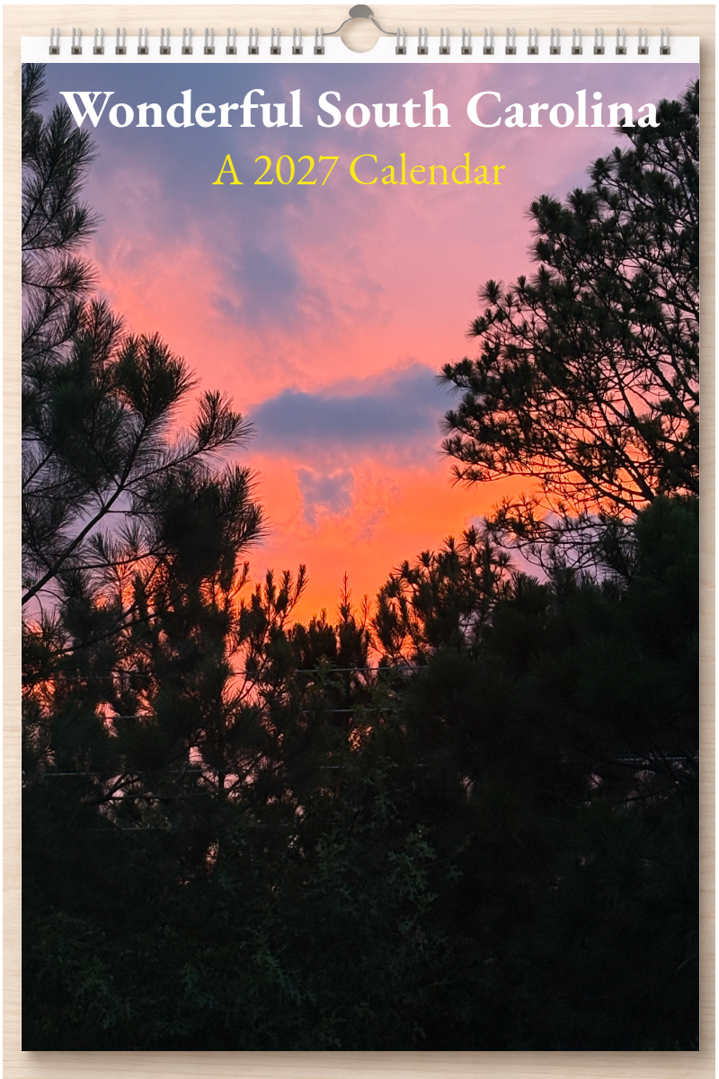 Wonderful South Carolina: A 2027 Calendar