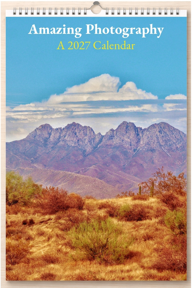 Amazing Photography: A 2027 Calendar