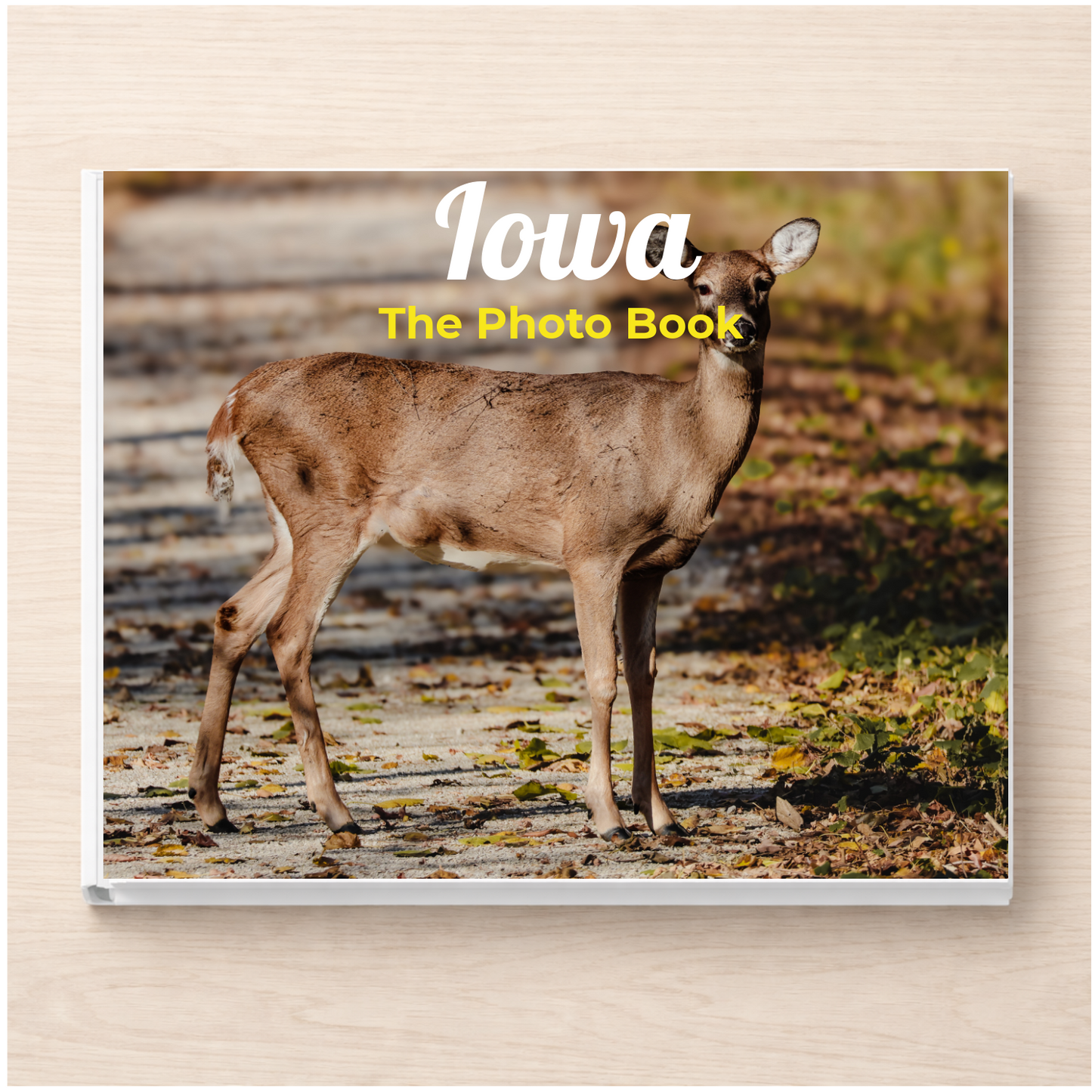 Iowa: The Photo Book