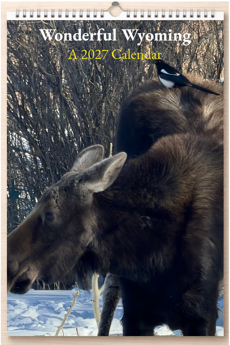 Wonderful Wyoming: A 2027 Calendar