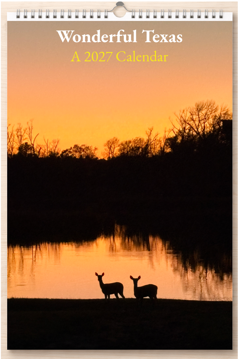 Wonderful Texas: A 2027 Calendar