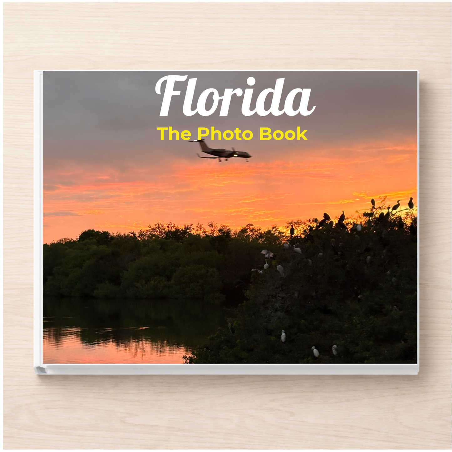 Florida: The Photo Book