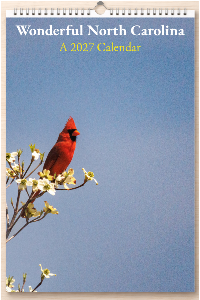 Wonderful North Carolina: A 2027 Calendar