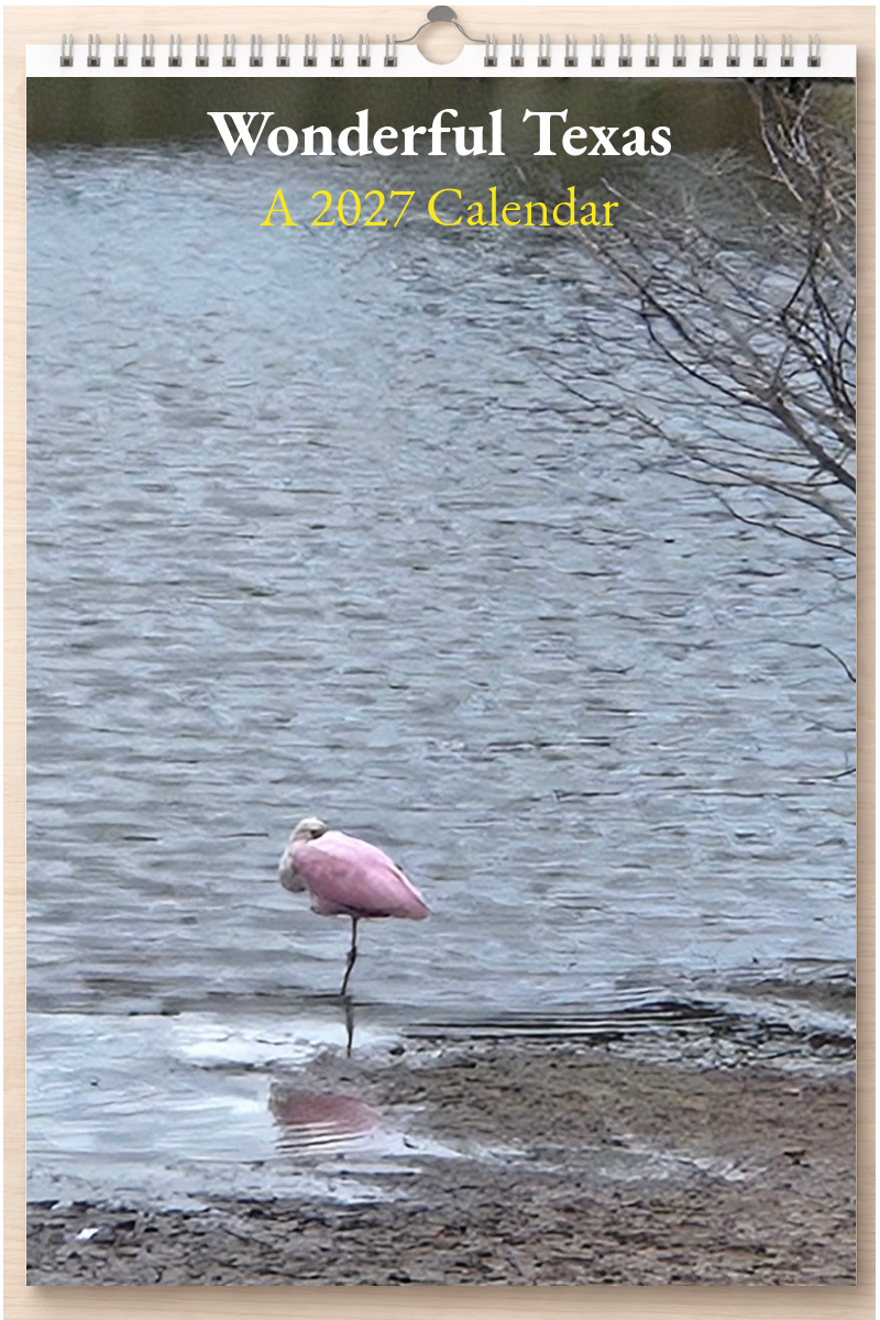Wonderful Texas: A 2027 Calendar
