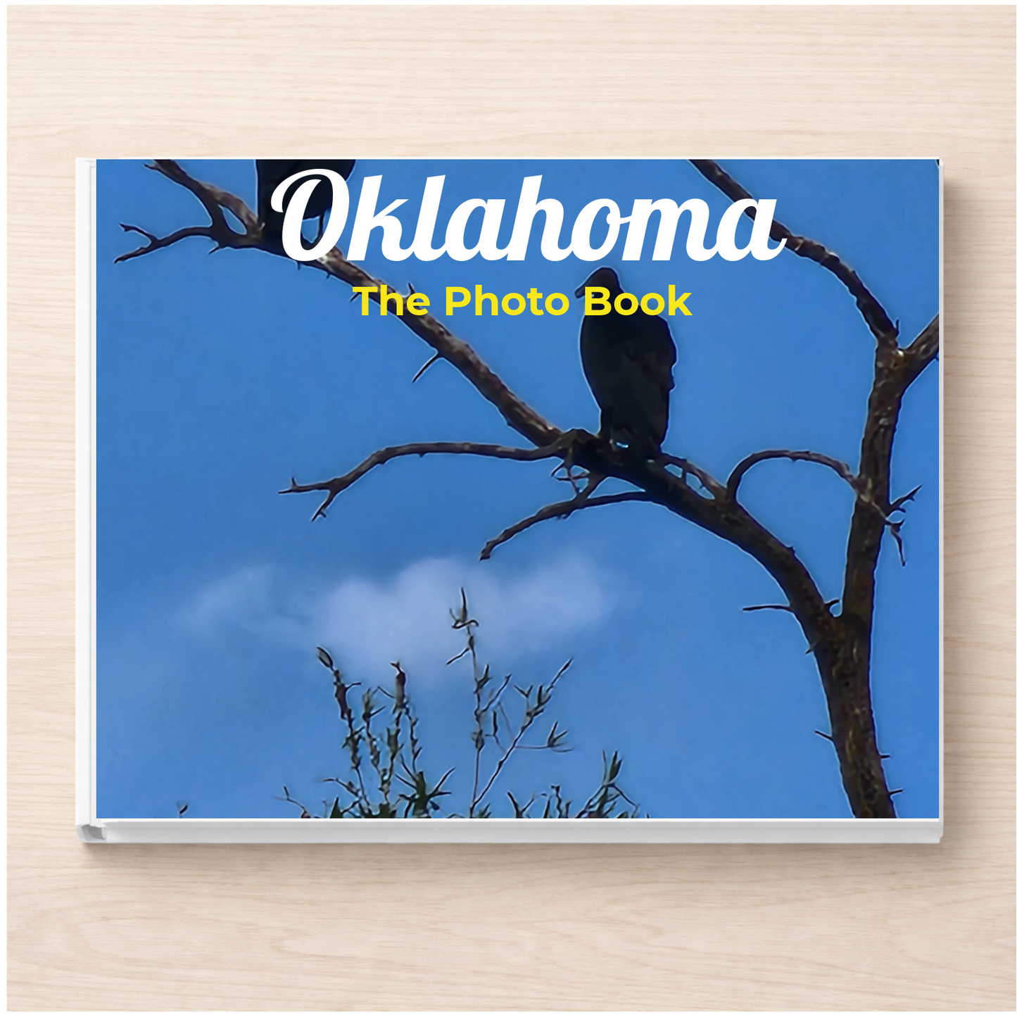 Oklahoma: The Photo Book