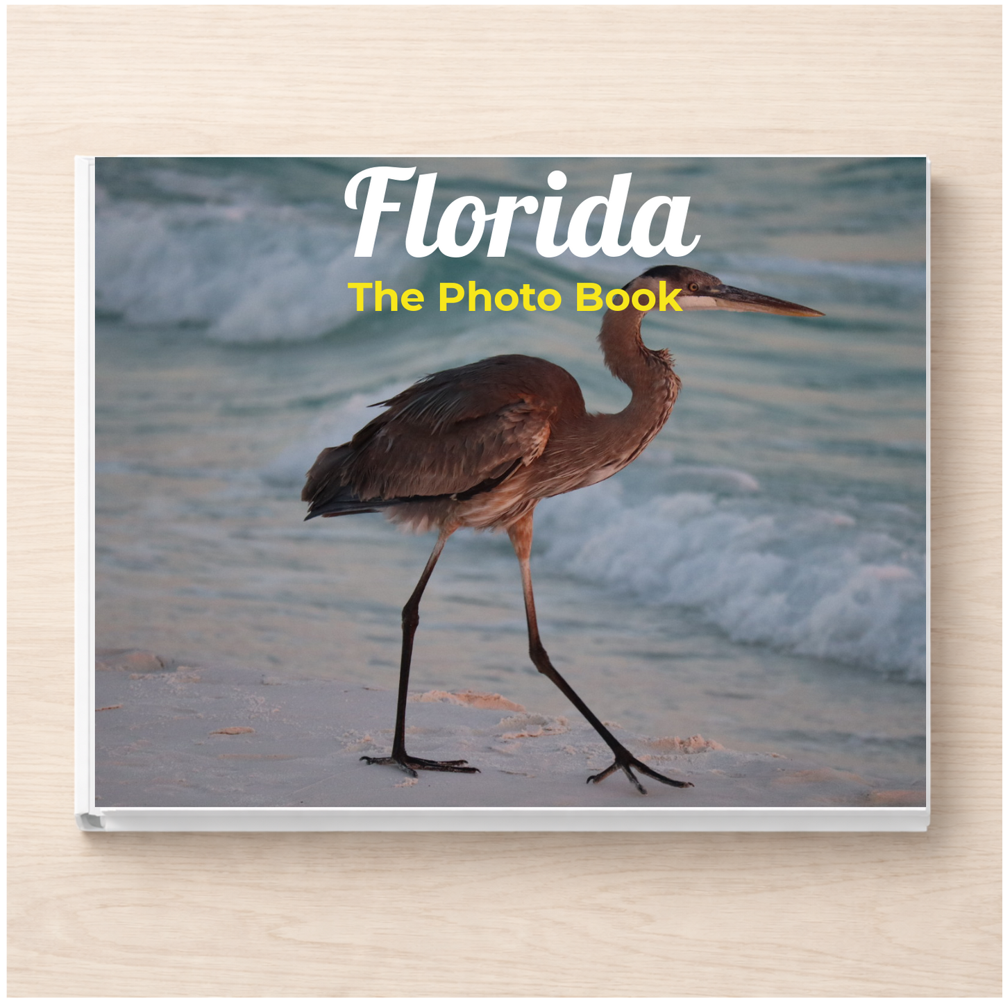 Florida: The Photo Book