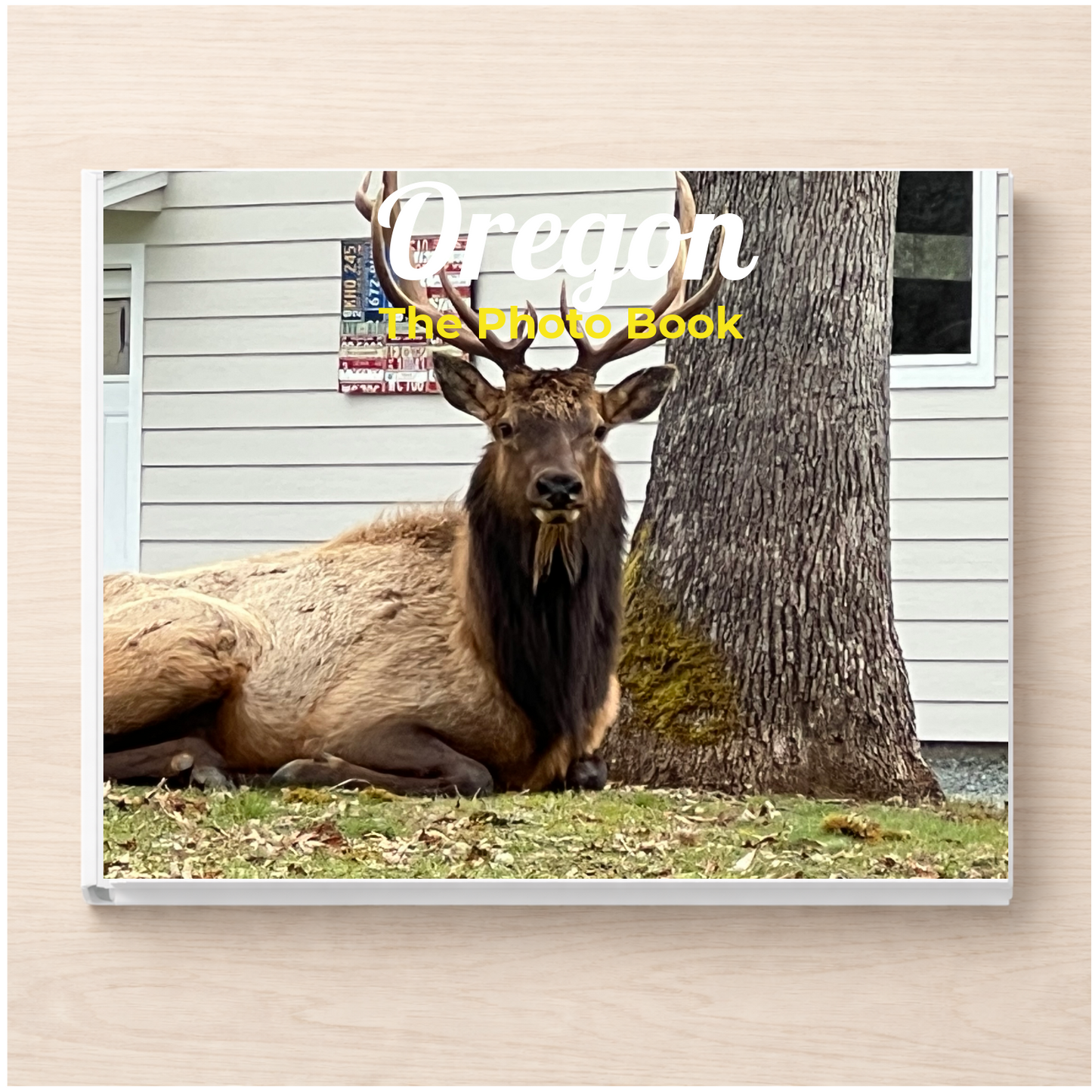 Oregon: The Photo Book