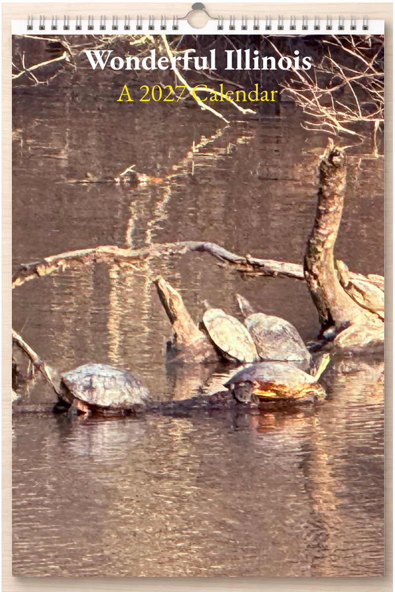 Wonderful Illinois: A 2027 Calendar
