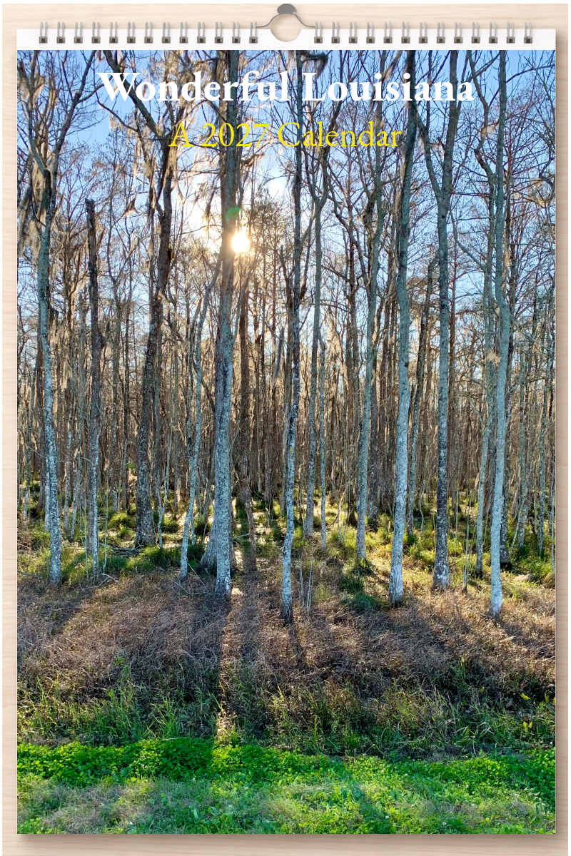 Wonderful Louisiana: A 2027 Calendar