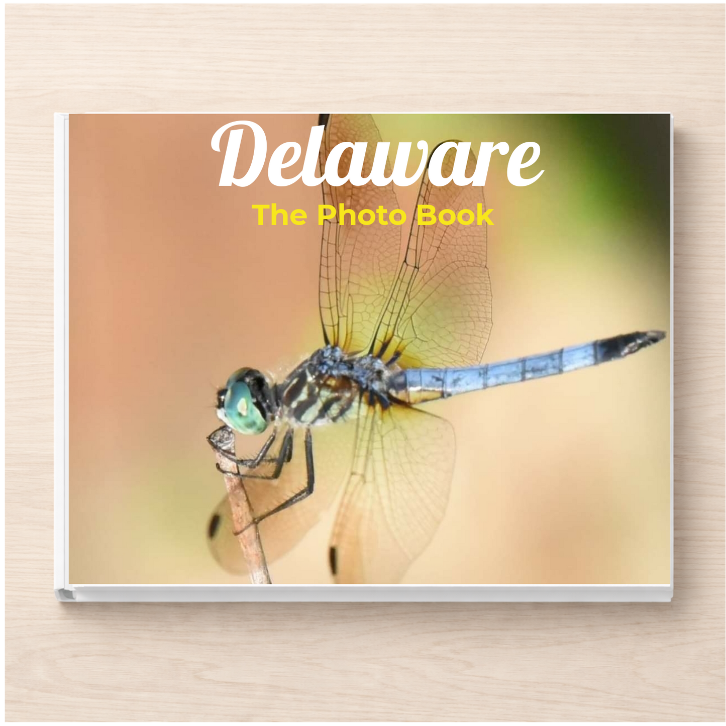 Delaware: The Photo Book