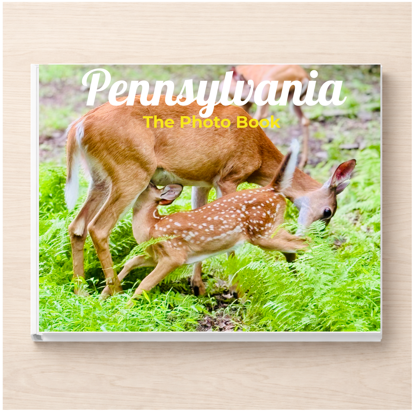 Pennsylvania: The Photo Book