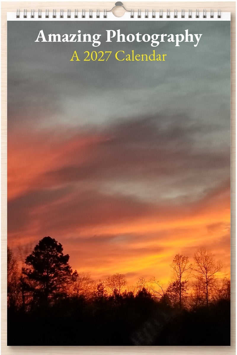 Amazing Photography: A 2027 Calendar