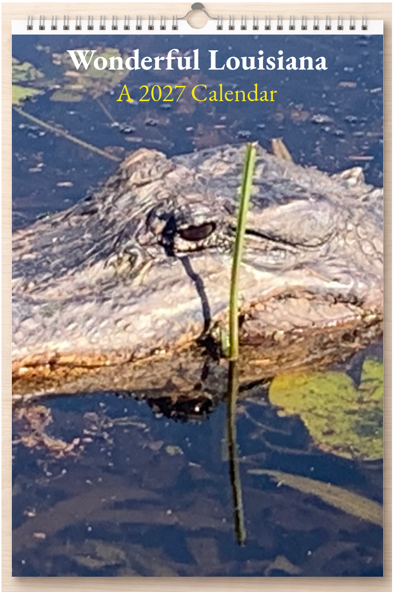 Wonderful Louisiana: A 2027 Calendar