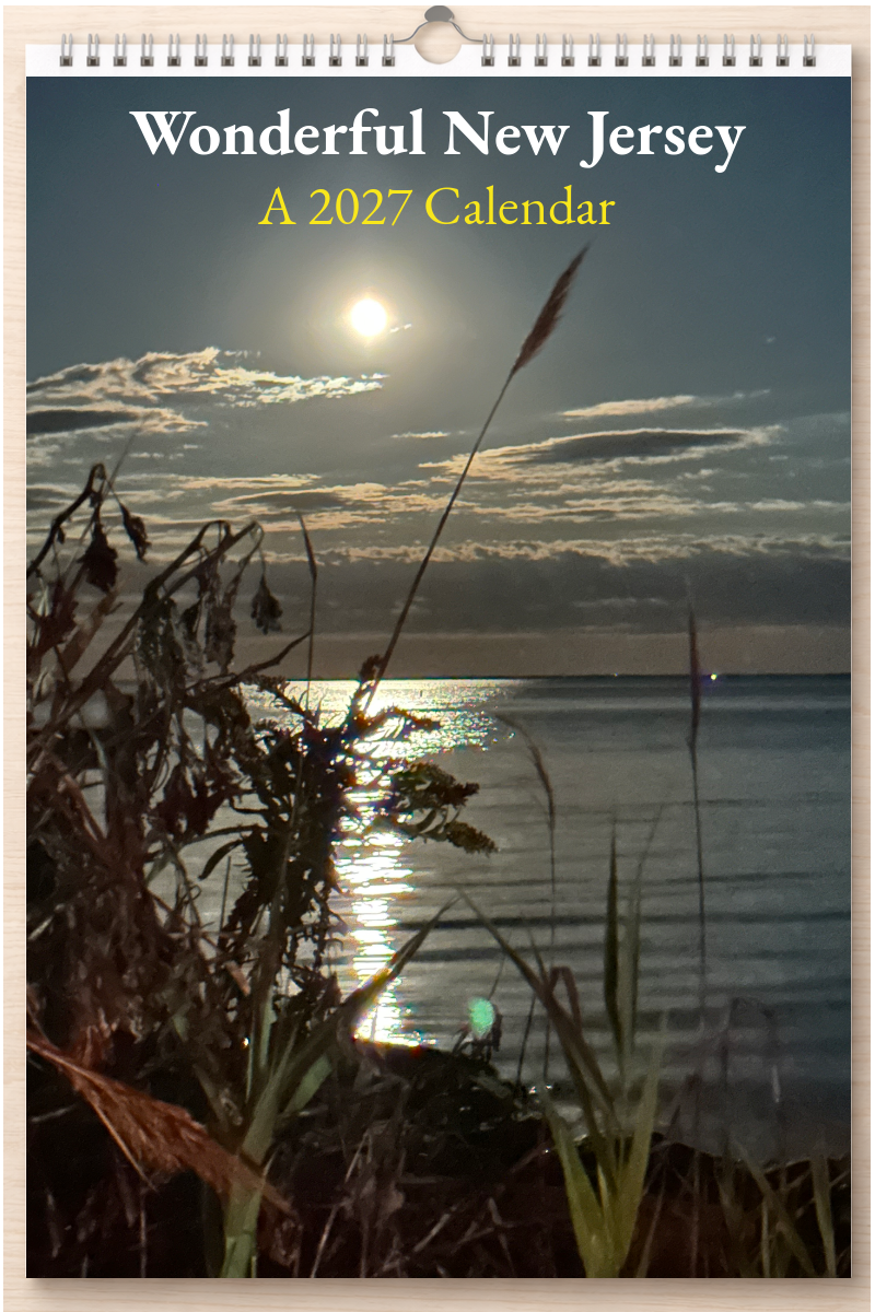 Wonderful New Jersey: A 2027 Calendar