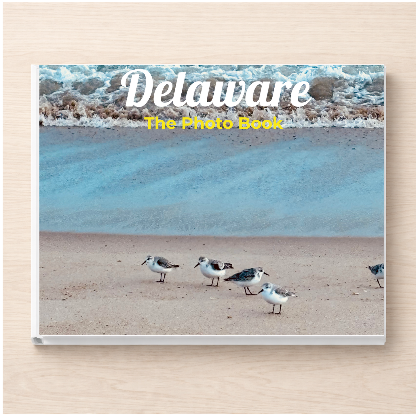 Delaware: The Photo Book