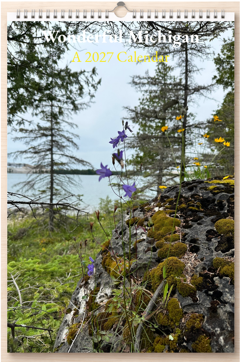 Wonderful Michigan: A 2027 Calendar