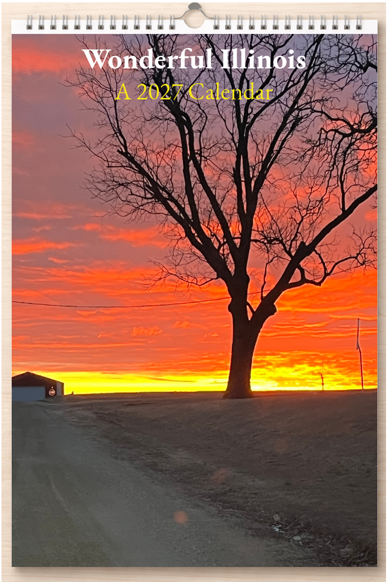 Wonderful Illinois: A 2027 Calendar