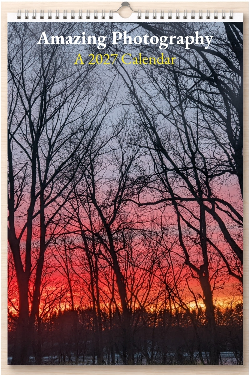 Amazing Photography: A 2027 Calendar