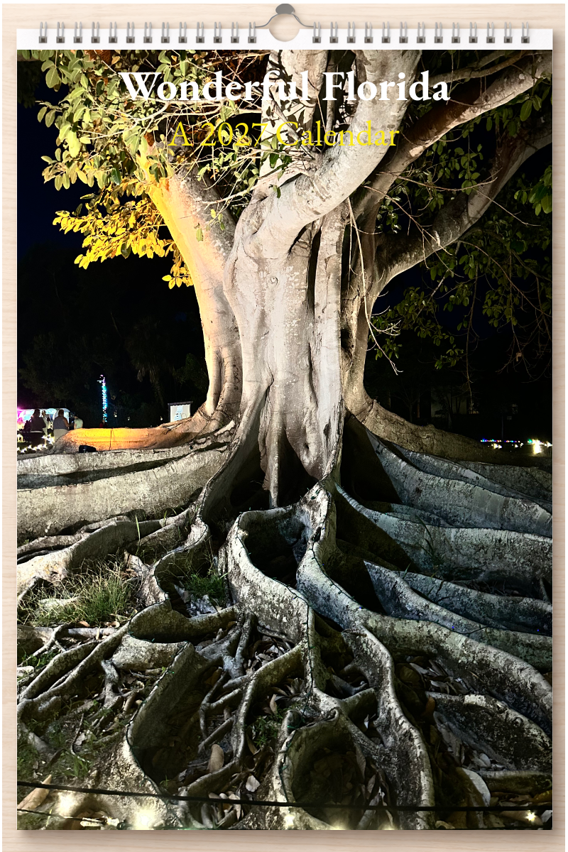 Wonderful Florida: A 2027 Calendar