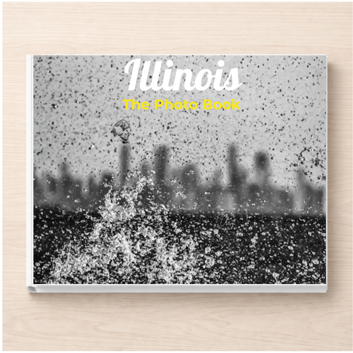 Illinois: The Photo Book
