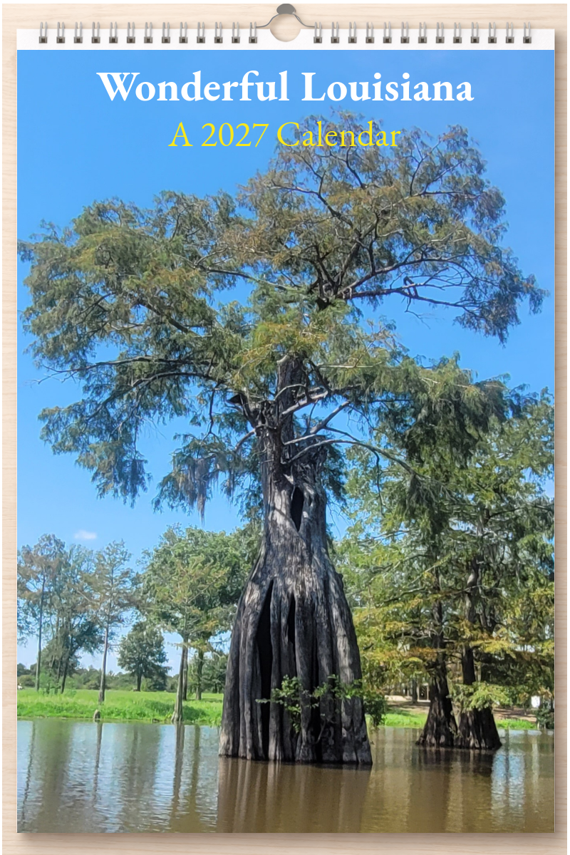 Wonderful Louisiana: A 2027 Calendar