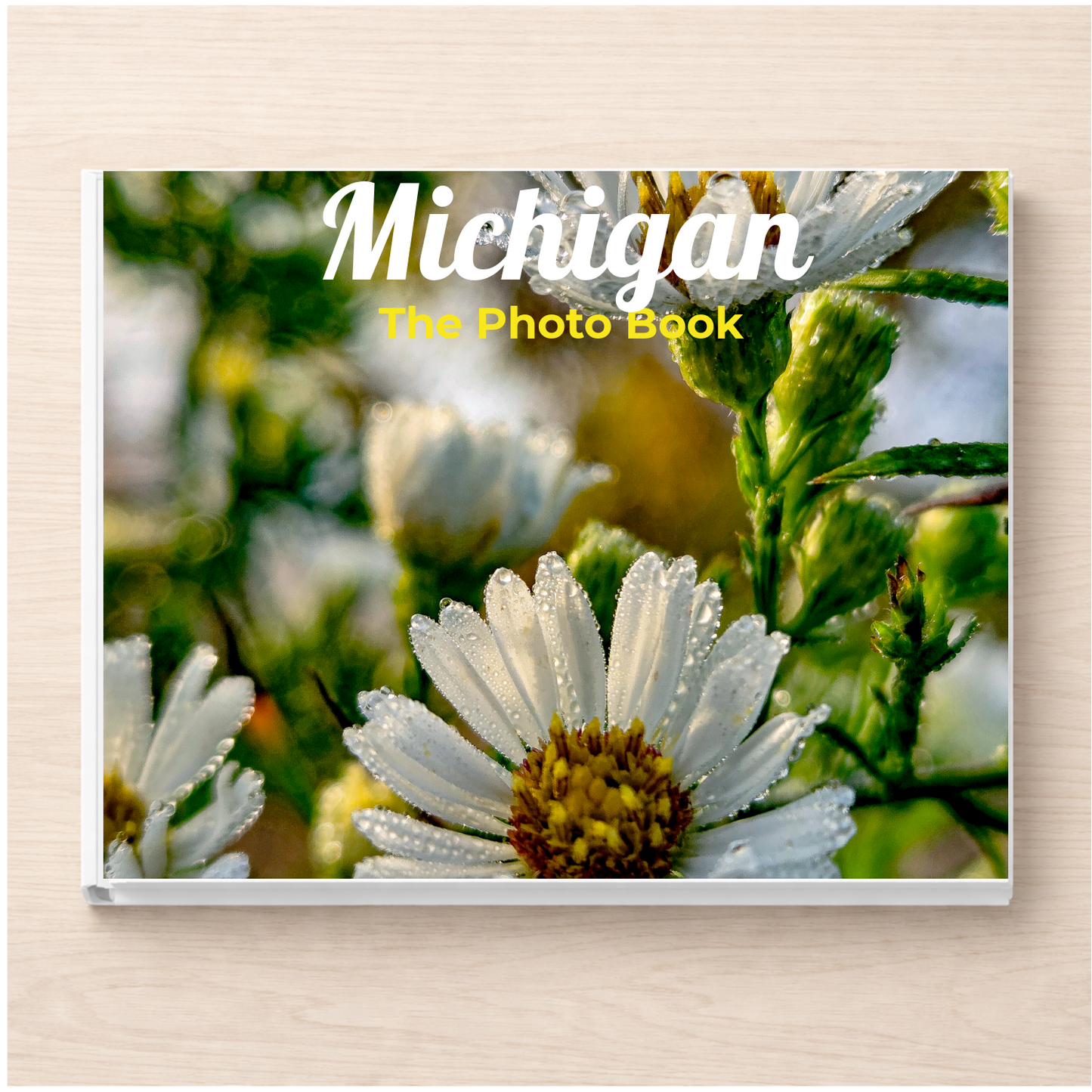 Michigan: The Photo Book