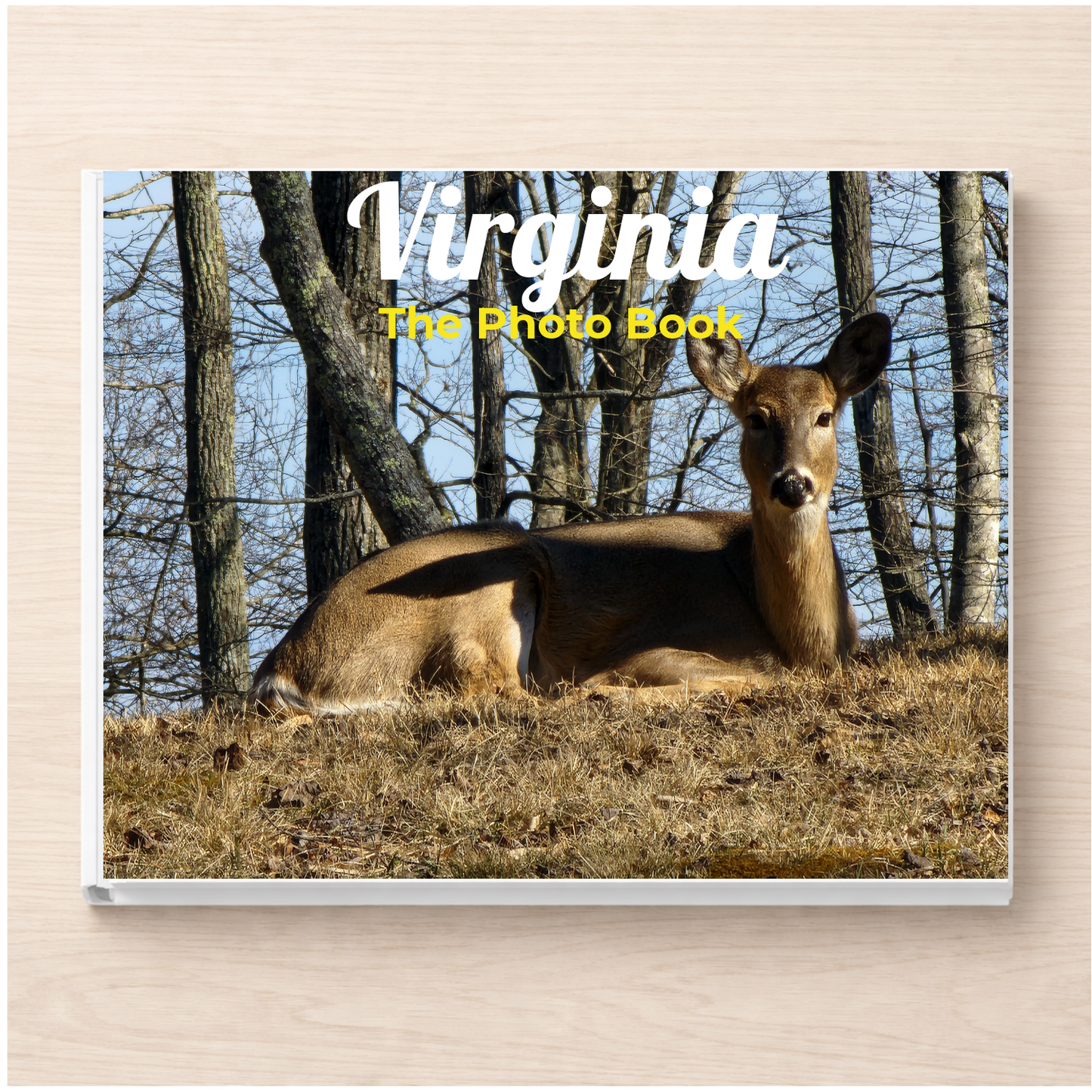Virginia: The Photo Book