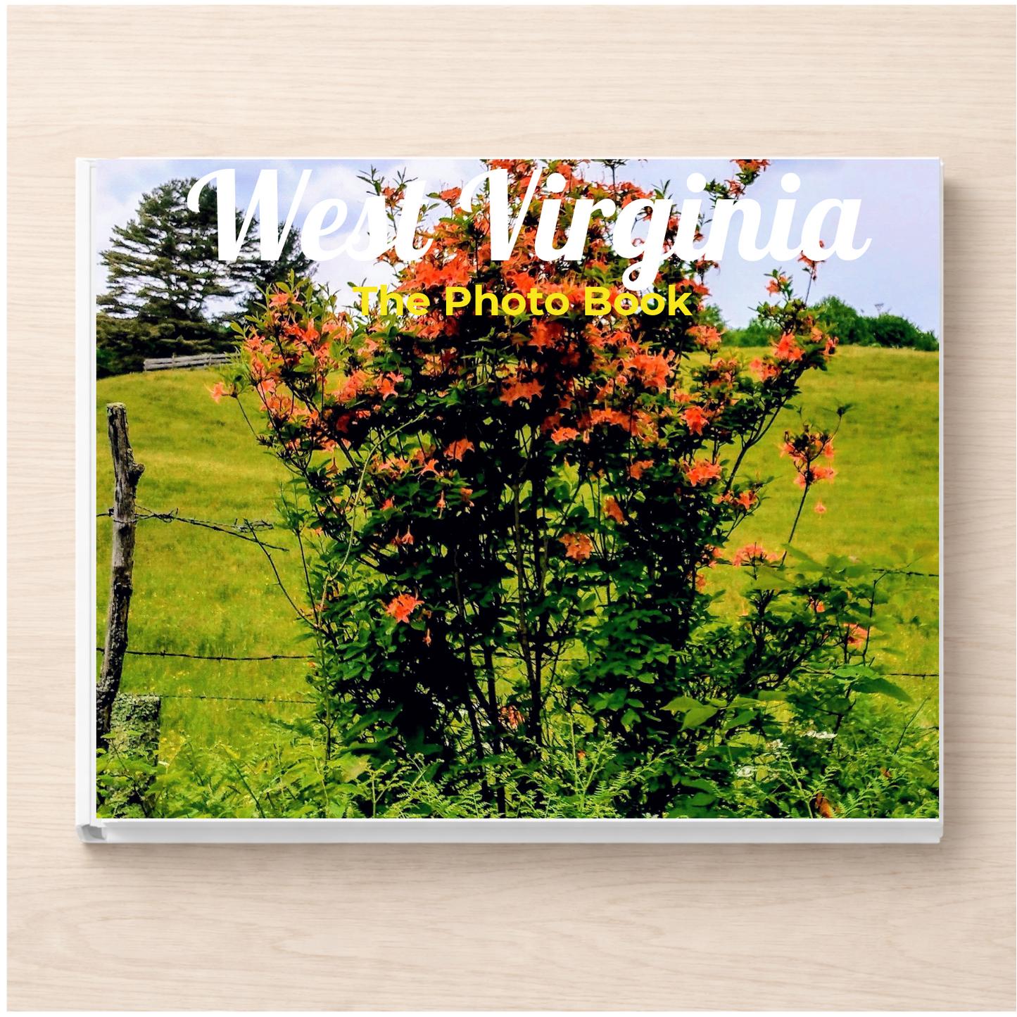 West Virginia: The Photo Book