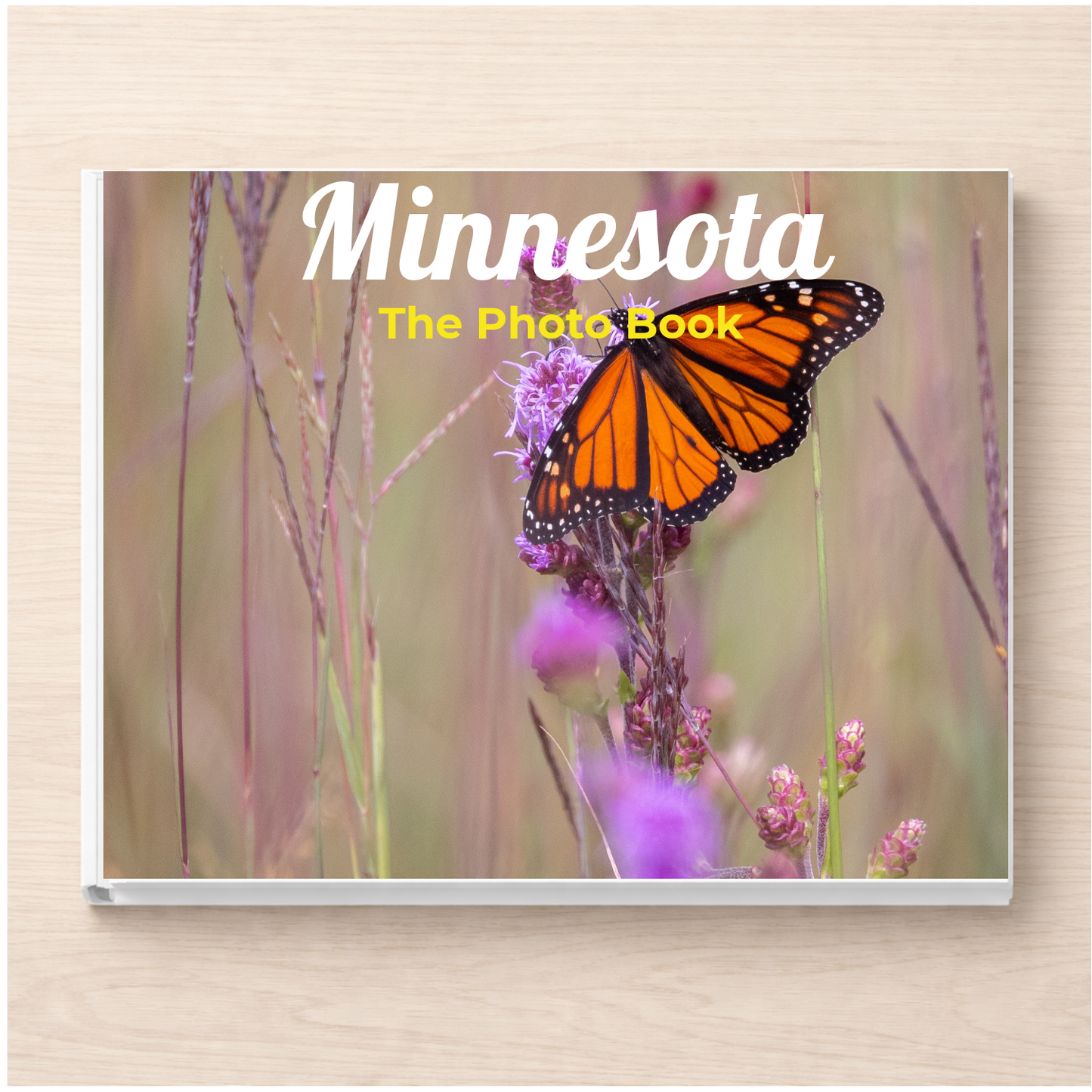 Minnesota: The Photo Book