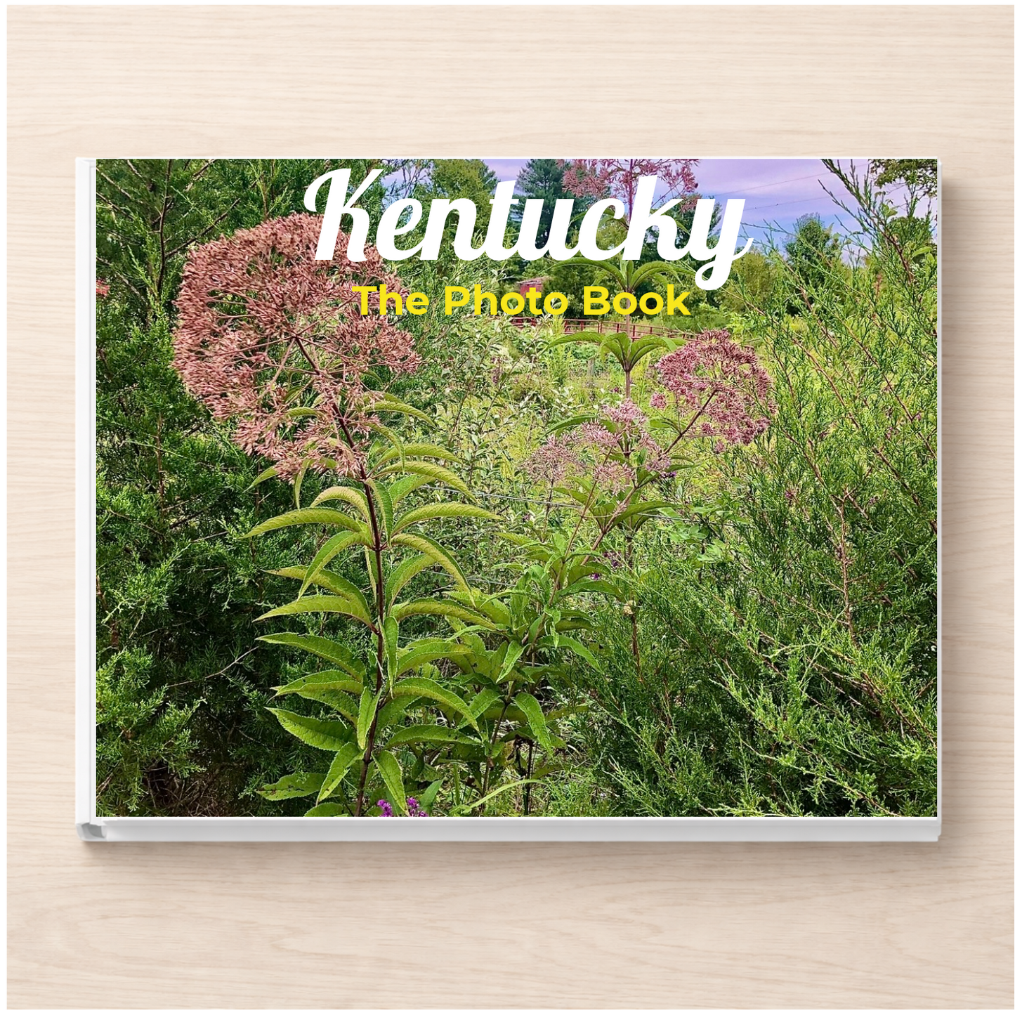Kentucky: The Photo Book