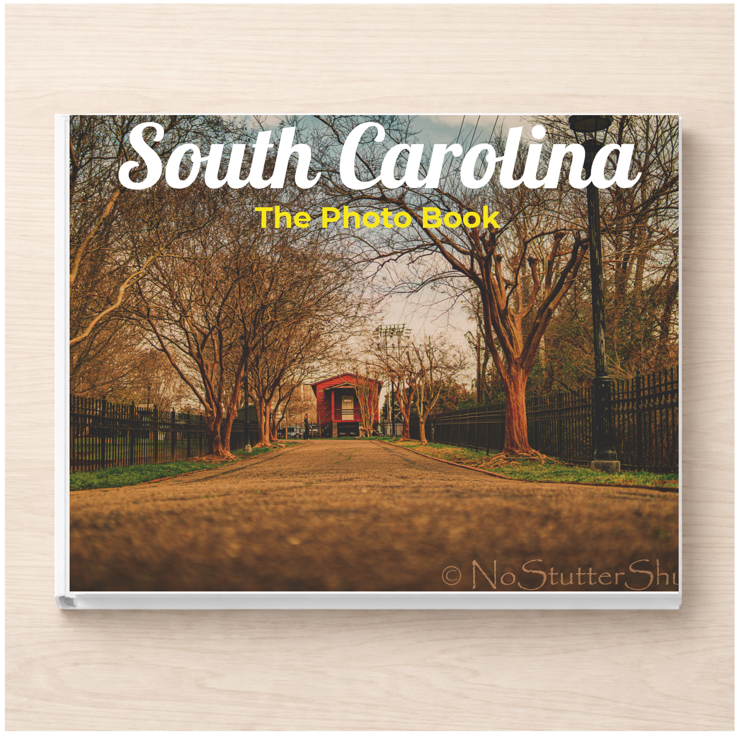 South Carolina: The Photo Book