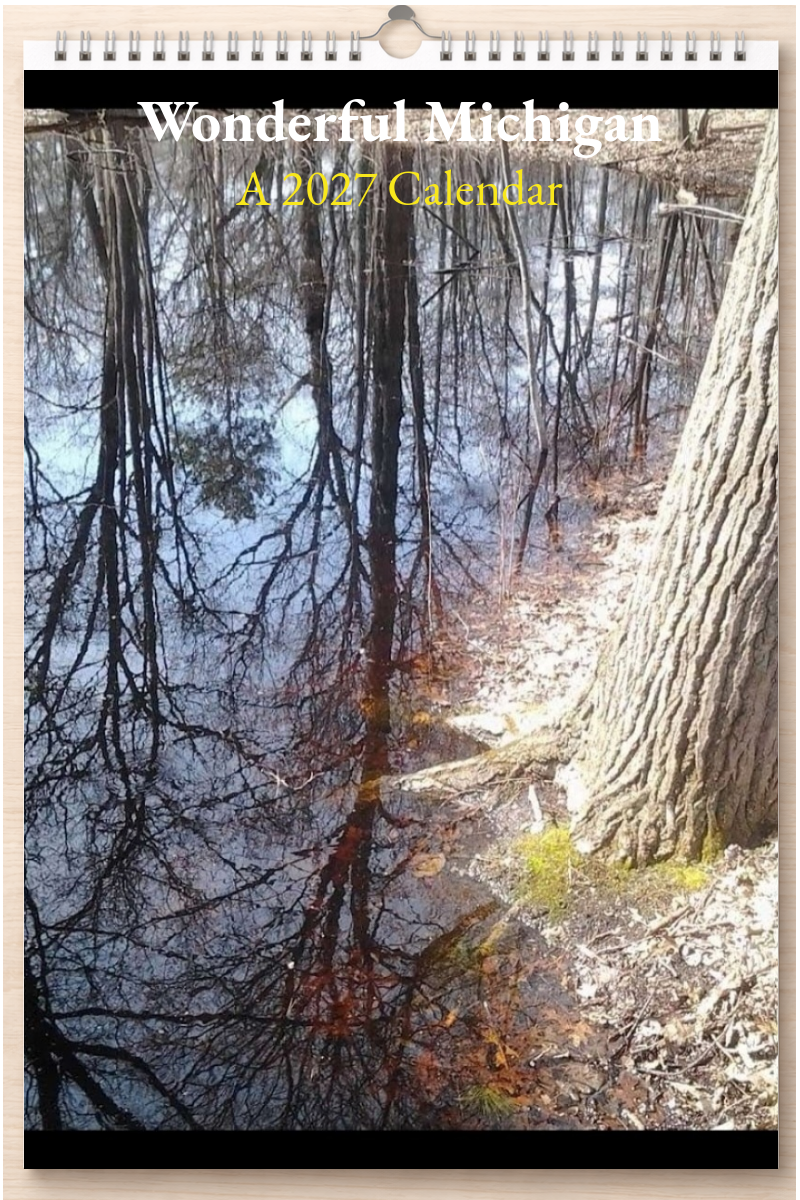 Wonderful Michigan: A 2027 Calendar