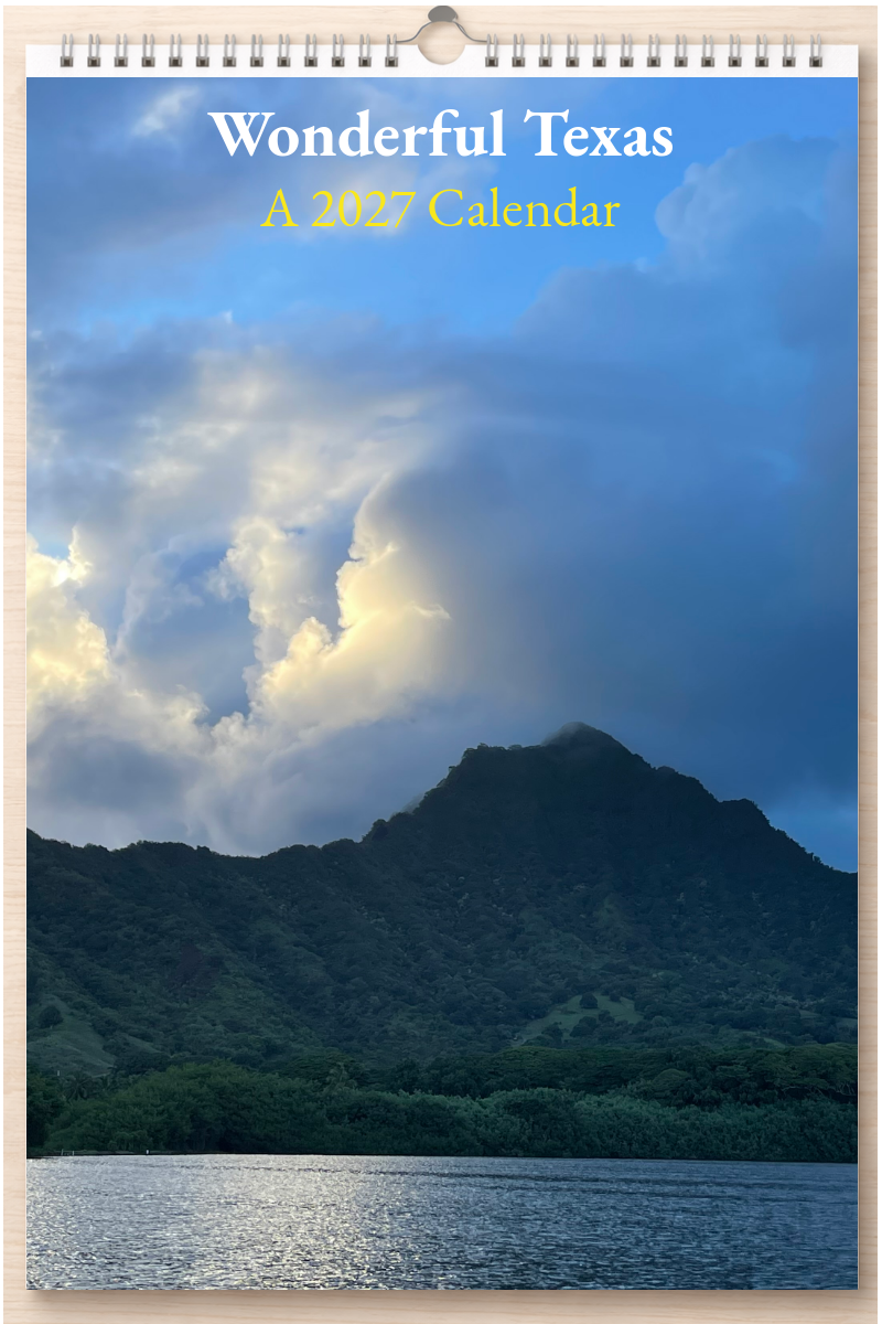 Wonderful Texas: A 2027 Calendar