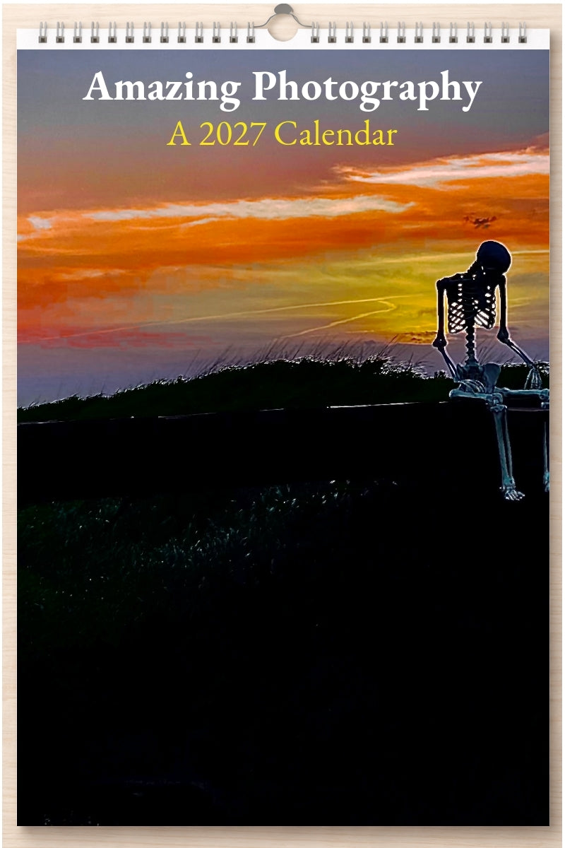 Amazing Photography: A 2027 Calendar