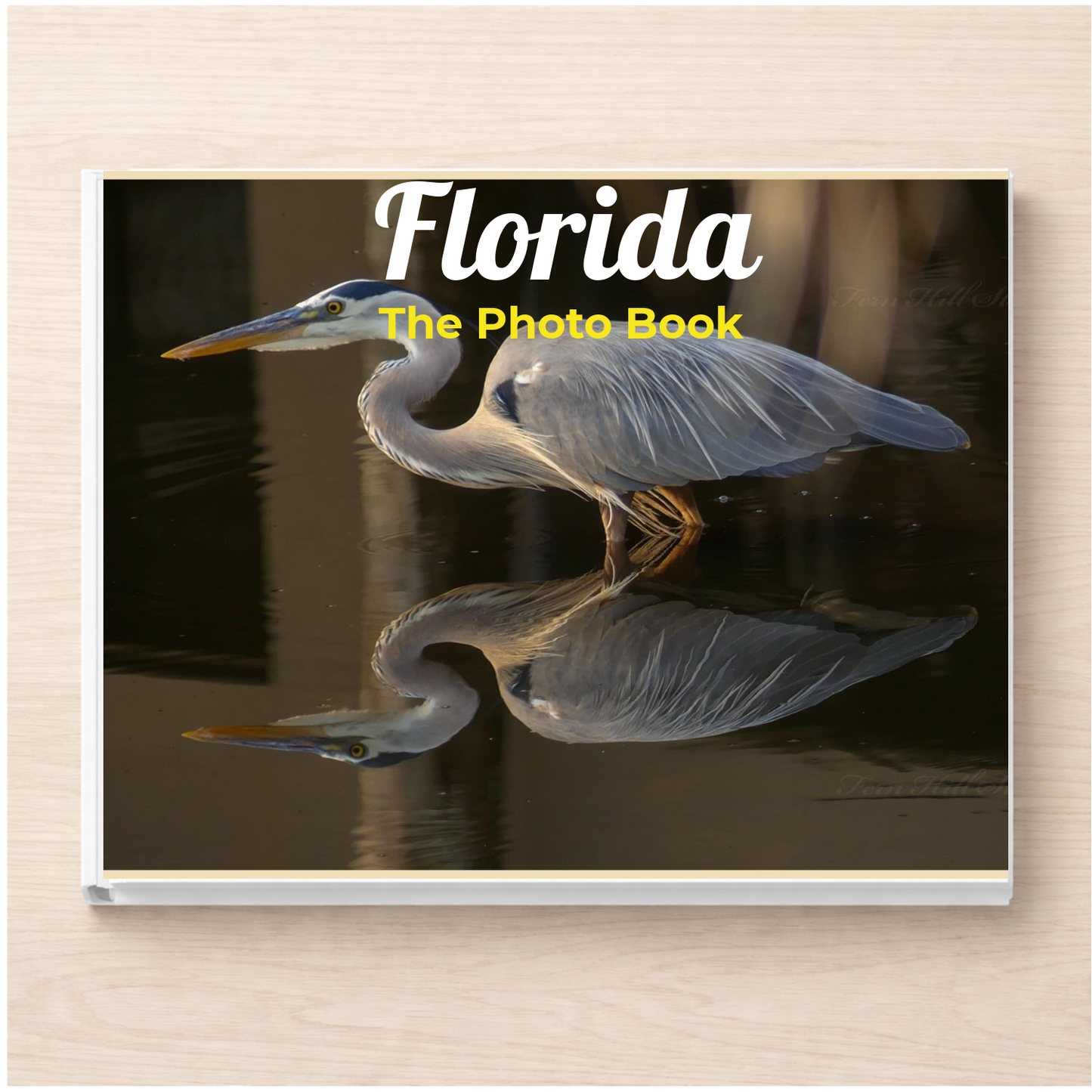 Florida: The Photo Book