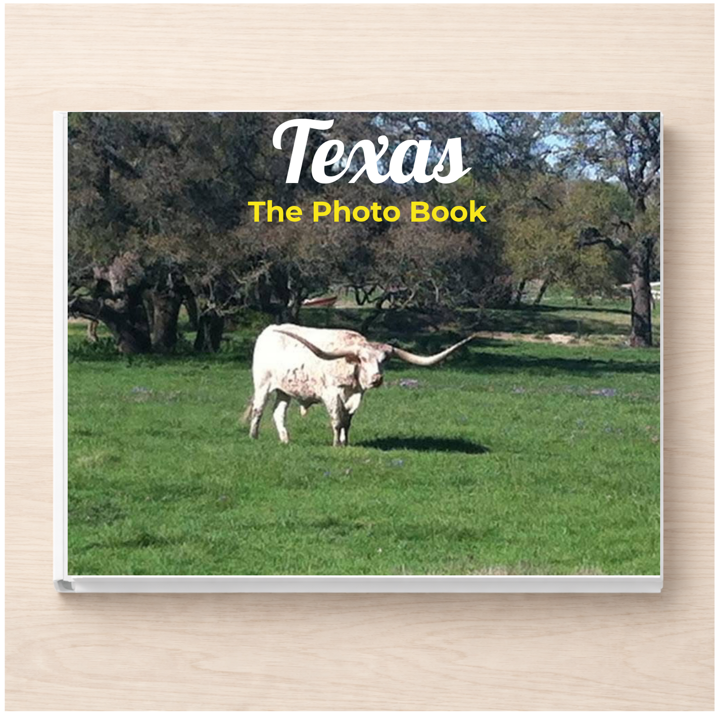 Texas: The Photo Book
