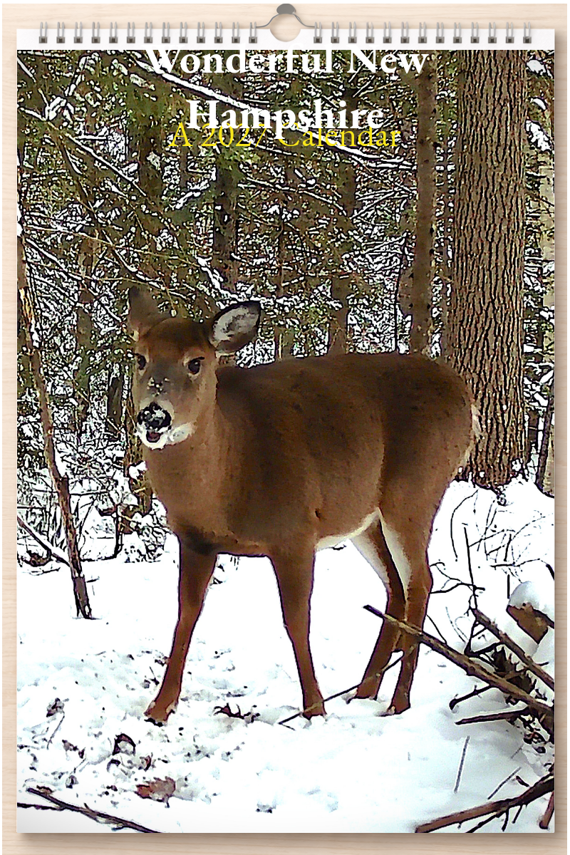 Wonderful New Hampshire: A 2027 Calendar