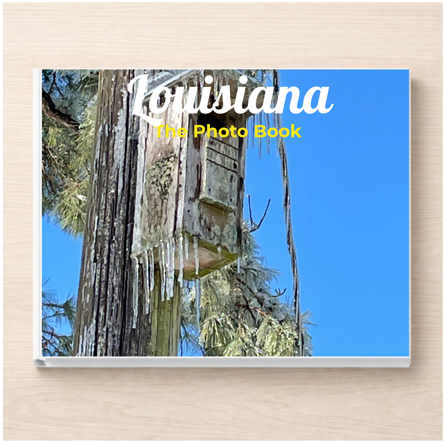 Louisiana: The Photo Book