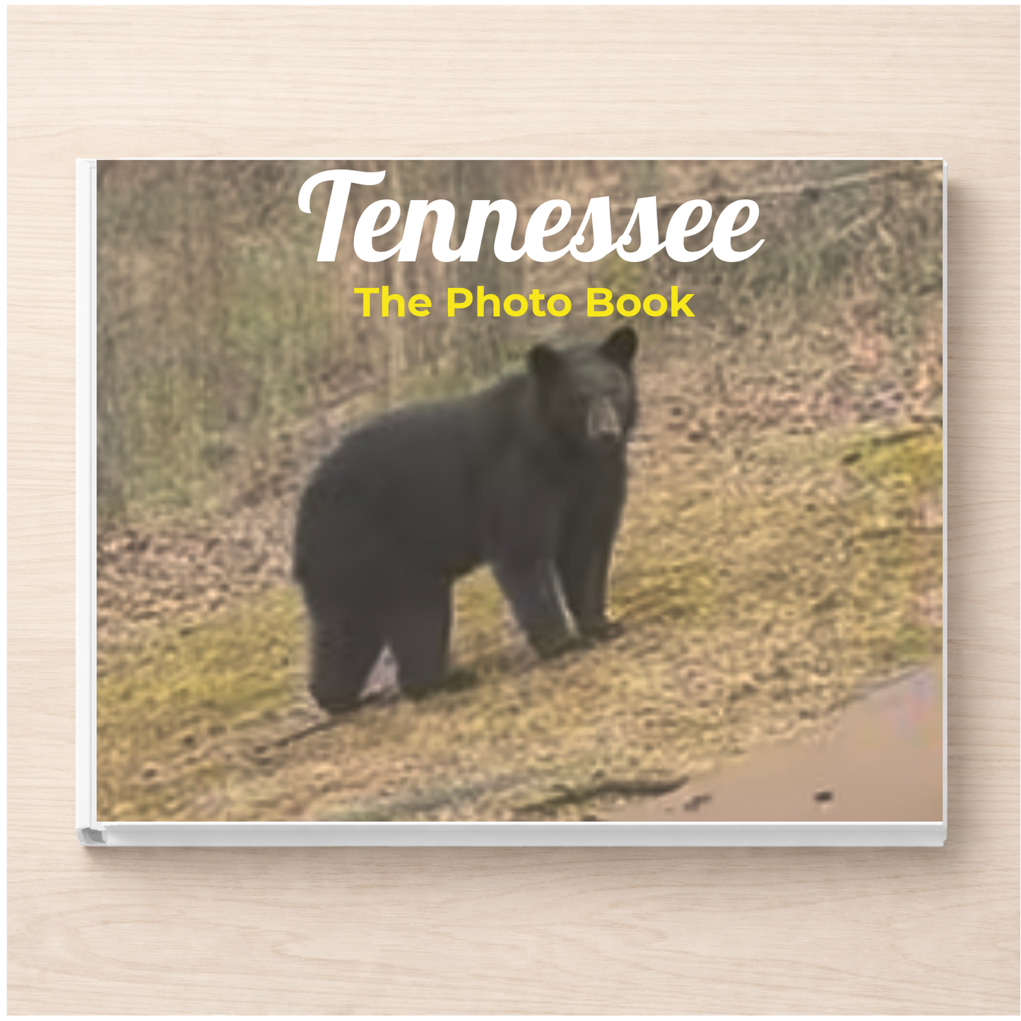 Tennessee: The Photo Book
