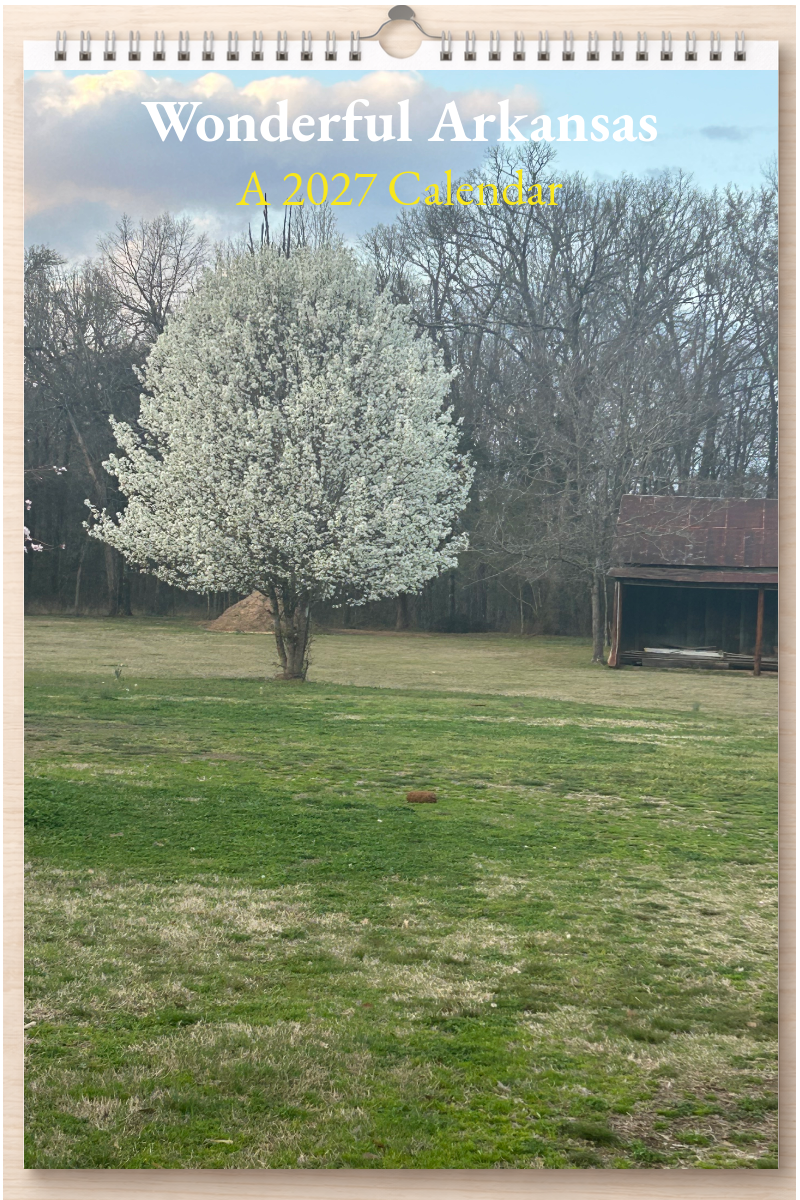 Wonderful Arkansas: A 2027 Calendar