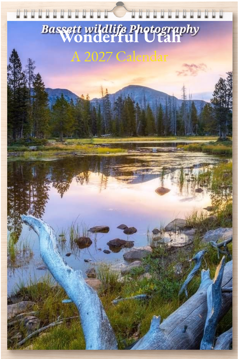 Wonderful Utah: A 2027 Calendar