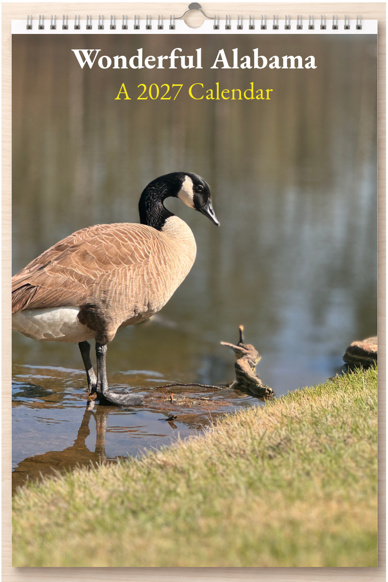 Wonderful Alabama: A 2027 Calendar