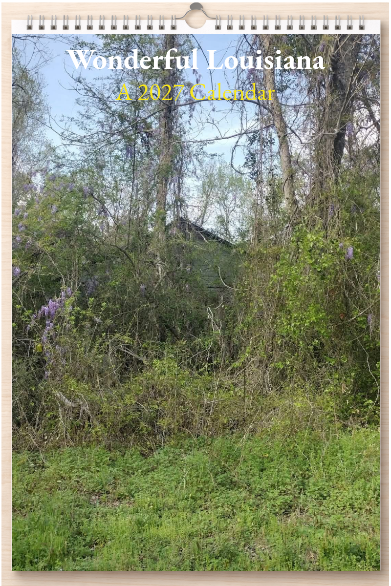 Wonderful Louisiana: A 2027 Calendar