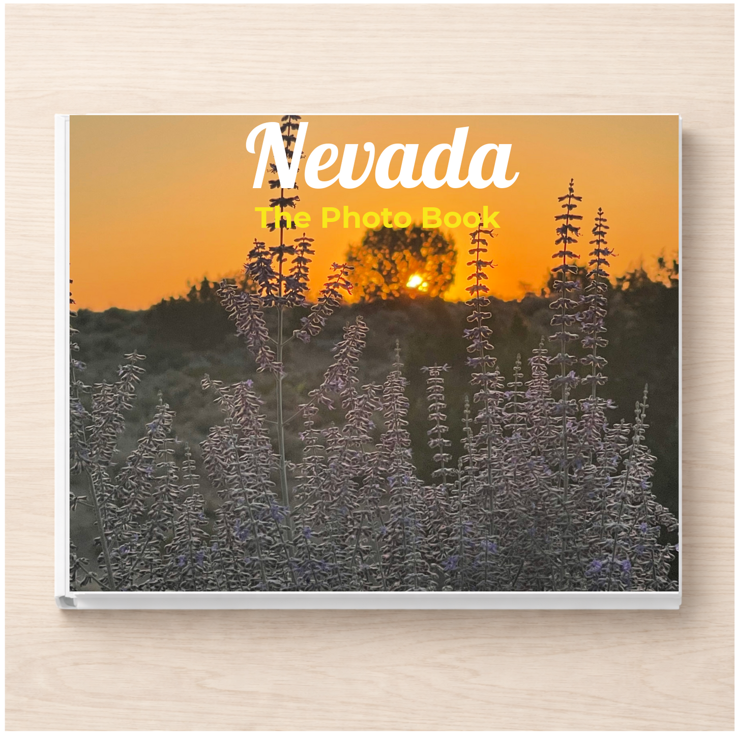 Nevada: The Photo Book
