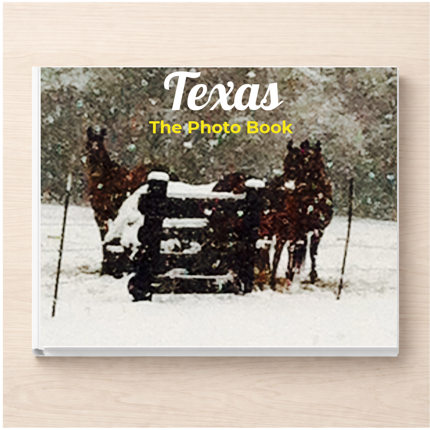 Texas: The Photo Book