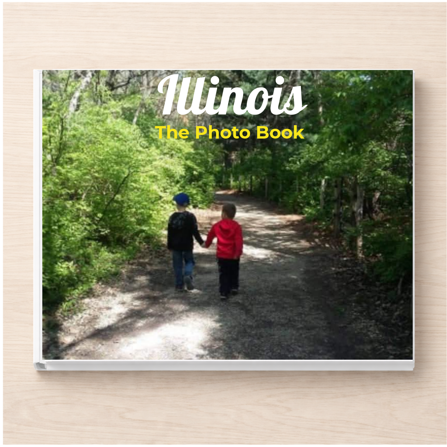 Illinois: The Photo Book