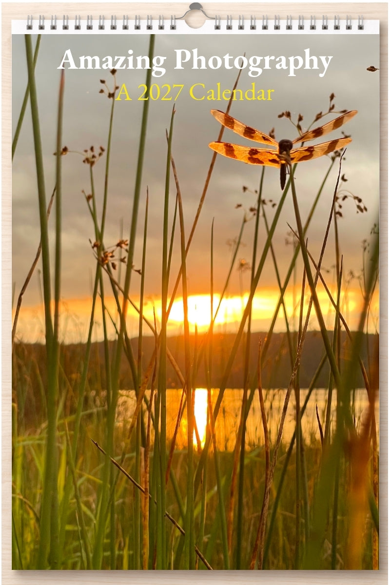 Amazing Photography: A 2027 Calendar