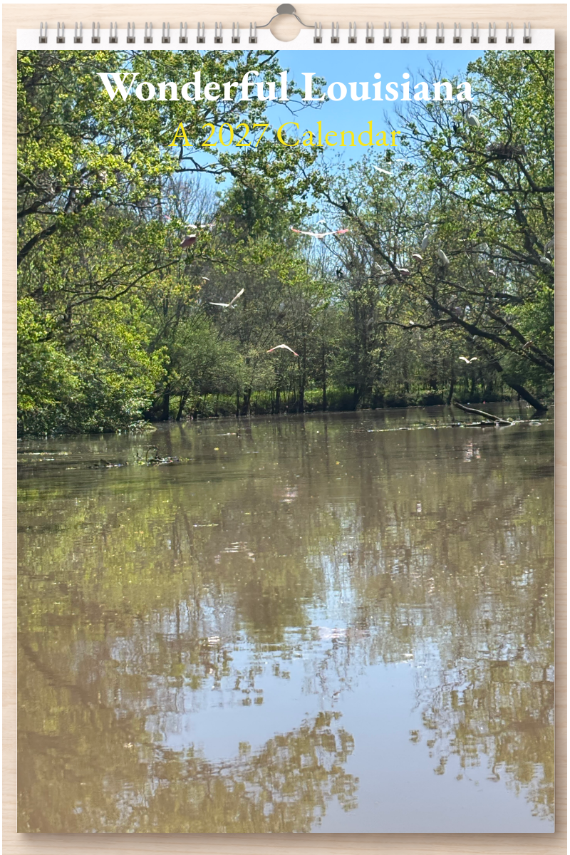 Wonderful Louisiana: A 2027 Calendar