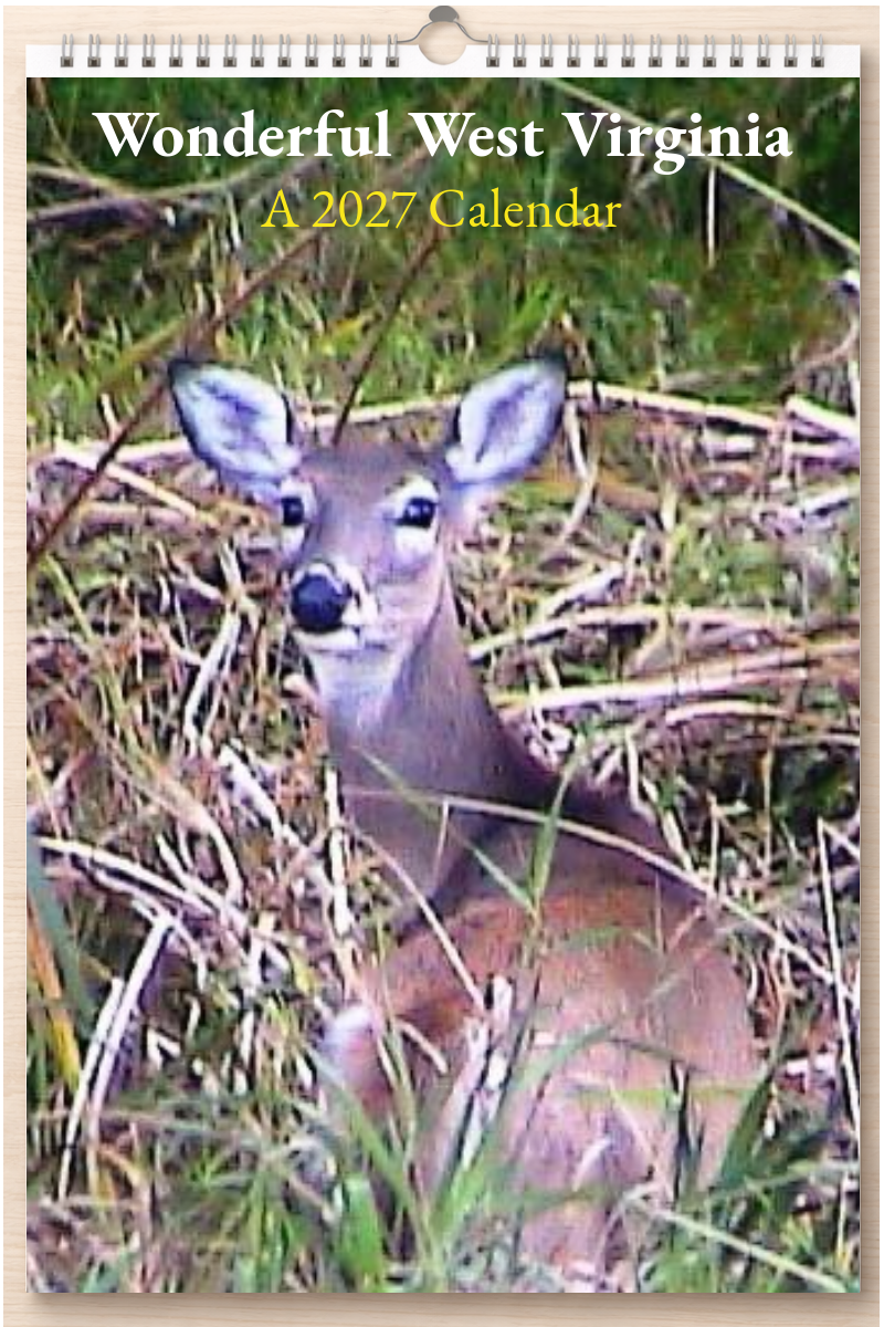Wonderful West Virginia: A 2027 Calendar